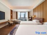 Executive Twin room with city view