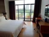 Standard Double room with lake view