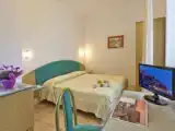 Standard Double room with garden view