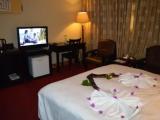 Standard Double room with garden view