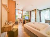 Superior Double room with balcony and with mountain view