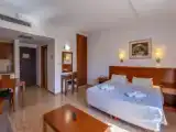 Standard Single room with balcony and with land view