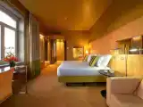 Deluxe Double room with river view