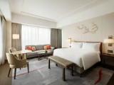 Griffin Double Junior Suite with city view