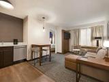 1 Bedroom Suite