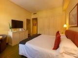 Superior Double room with mountain view