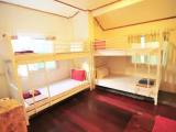 Bed in Dorm