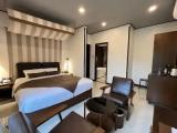 Deluxe Double room with balcony and with garden view