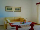 Basement Apartment