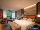 Standard Double room with mountain view