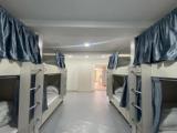 Bed in Dorm (male dorm)