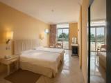 Standard Double room with balcony and with view