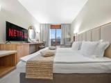 Standard Double room with balcony and with mountain view