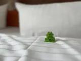 Deluxe room with city view