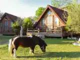 Standard Bungalow