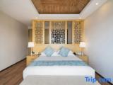 Standard Double room with balcony and with view