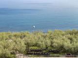 1 Bedroom Suite with balcony and with sea view