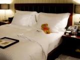 Superior Single room with view