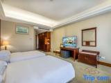 Executive Twin room