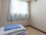 Japanese-Style room