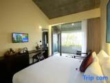 Deluxe room with city view