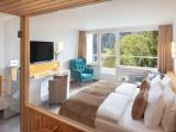 1 Bedroom Standard Double room with balcony and with mountain view
