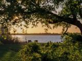 Double Junior Suite with lake view