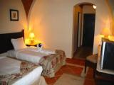 Standard Double room with garden view