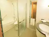 Standard Double room with river view