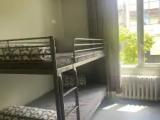 1 Bedroom Bed in Dorm