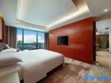 Ambassador Suite