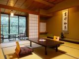 Standard room with mountain view