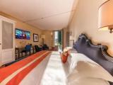 Superior room with garden view