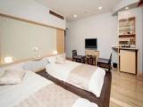 Economy Double room with mountain view