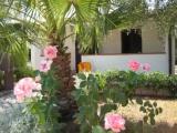 1 Bedroom Cottage