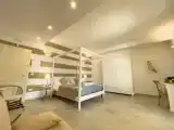 Luxury Double Basement Suite