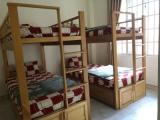 Bed in Dorm