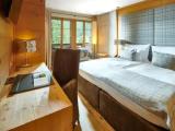 Superior Double room with balcony and with mountain view