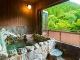 Deluxe room with mountain view