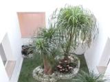 Basic (with indoor winter garden view) Double room