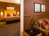 Studio Suite