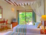 Standard Single room with garden view