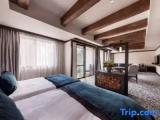 Concept "Arbre" room