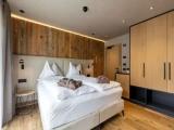 Superior Double room with mountain view