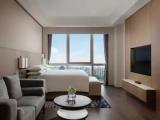 Double Spacious Studio Apartment