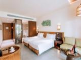 Deluxe Twin room with pool view