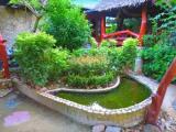 Bungalow with garden view