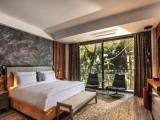 Deluxe Double room with balcony and with garden view