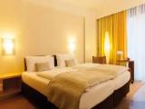 Standard Double room with lake view