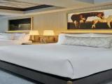 Standard Double room with balcony and with mountain view